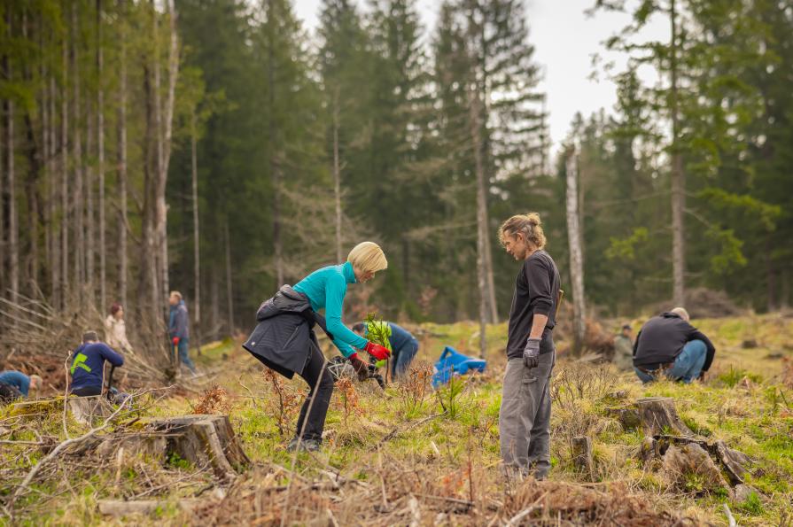 Slovenian Olympic Forest