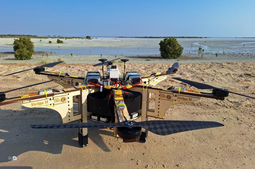 DIS drone