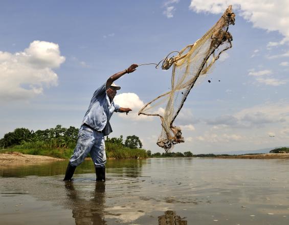 Fisherman in Colombia