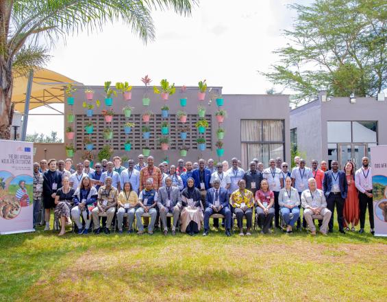 PANORAMA at SOS AWI Writeshop in Nairobi, Nov. 2024