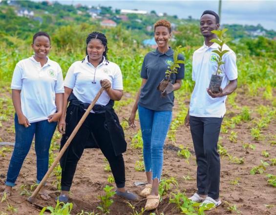 Environmental conservation training