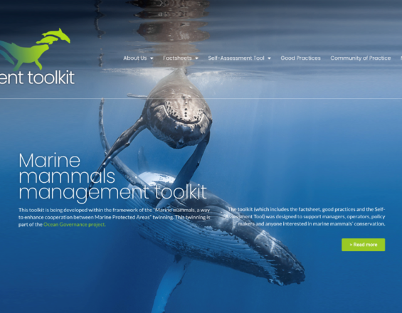 Marine Mammals Management Toolkit