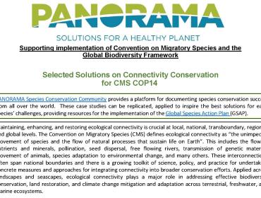 Cover_Selected Solutions on Connectivity Conservation for CMS COP14