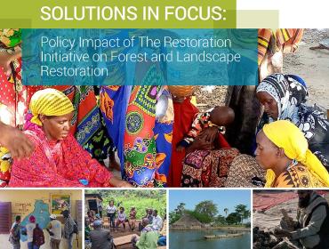 Cover of Solutions in Focus: Policy Impact of The Restoration Initiative on Forest and Landscape Restoration