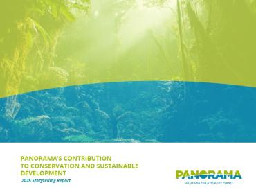 PANORAMA Storytelling Report Front Cover pic