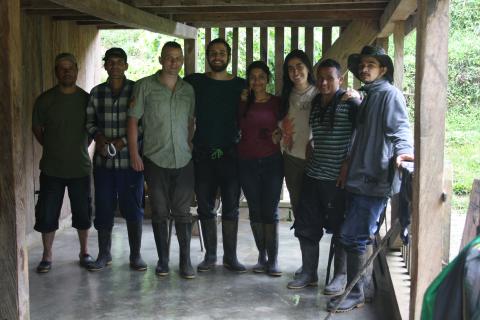 Sociedad Colombiana de Cycadas