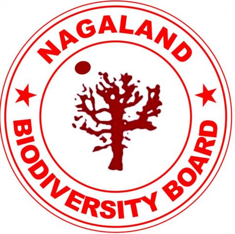 35 out of 69 colleges in Nagaland accredited by NAAC - Nagaland  TribuneNagaland Tribune