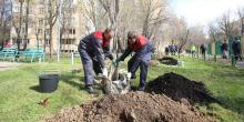 Moscow Mayor and Moscow Government