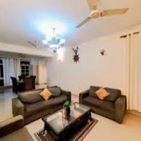 Profile picture for user joee3803