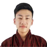 Profile picture for user stshering