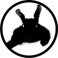 Profile picture for user basketcasegallery7