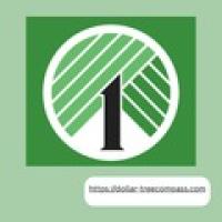 Profile picture for user dollar-treecompass.com