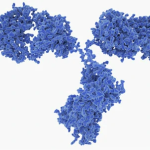 Profile picture for user contact_7