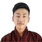 Profile picture for user stshering