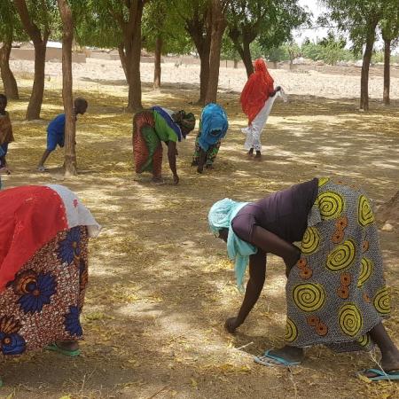 Women picking up neem tree products at a neem tree plantation