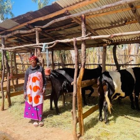 Amina Mtuya stands beside cattle on her farm in Ilalasimba village, Iringa Region, Tanzania.