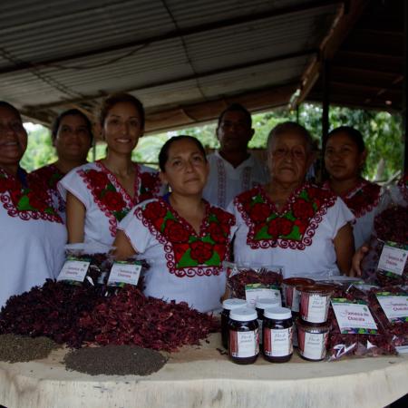Grupo de Trabajo Jamiaca de Chacala (Jalisco).