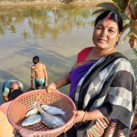 Women Aquaculture Farmer harvesting fish