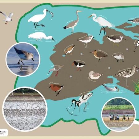 Tiaozini 720 Wiederherstellung des Hochwasserschutzes