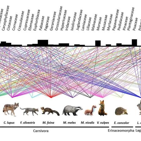 analisi della rete alimentare per diversi animali basata sulla tecnica del metabarcoding