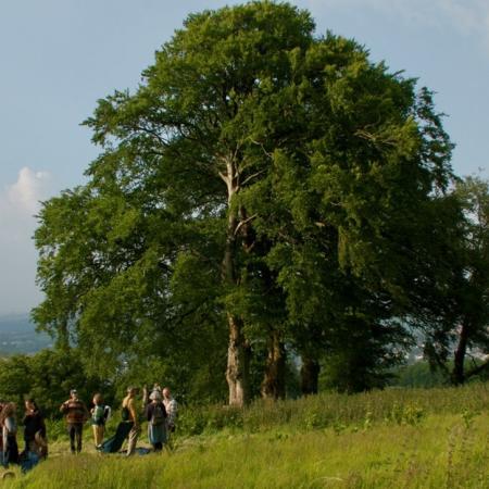 One year anniversary celebration under a large oak tree.