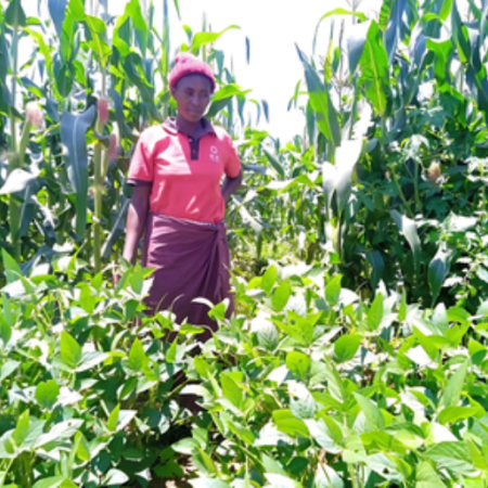 Female farmer acknowledging her field