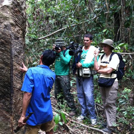 Chico Mendes Winningsreservaat