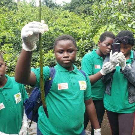 Tiko Mangrove ecological studies with Kids