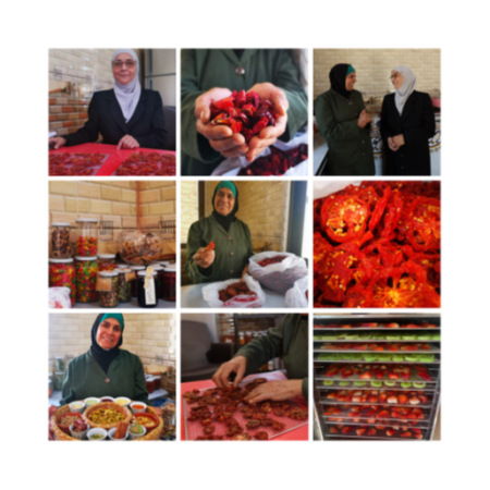 Project beneficiaries under the Home-based Businesses category 