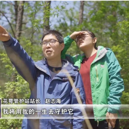 Zhao Zhihai: Da laureato urbano a guardiano ecologico della montagna Hua'e