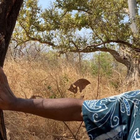 World Agroforestry/Cathy Watson