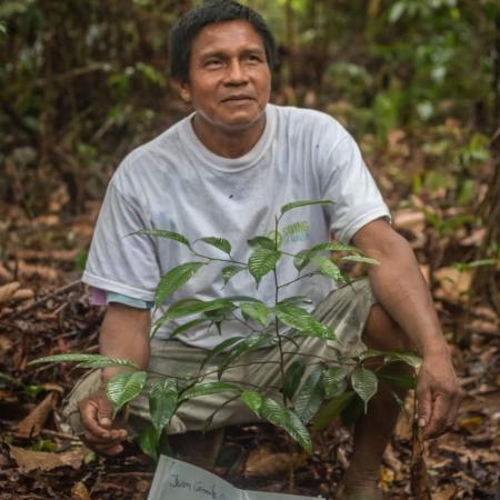 Indígena después de sembrar y marcar un árbol