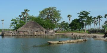 Mangrove Restoration Village IUCN