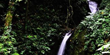 Cascada Cuecha, Reserva Monteverde, Costa Rica
