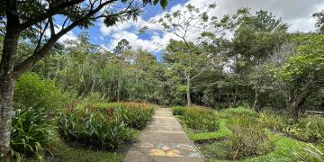 Nature and wellness trail through an urban park in San José