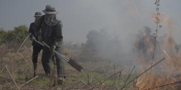 Author using a rake hoe to control wildfire
