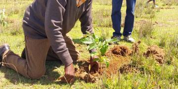 Tree planting knows no age. Here is a picture of the Chairman of one of the Community Forest Association (CFA) planting a native tree seedling.