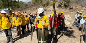 Organizacion de cuadrillas para la atencion de incidentes 