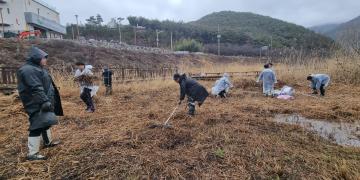 Citizens Remove Competing Plants from Endangered Plant Habitats