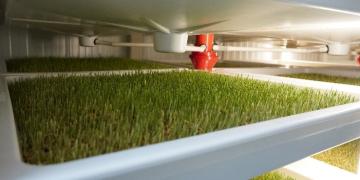 Hydroponic Fodder Production