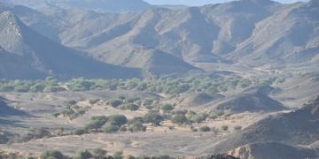 Landscape ATNNR