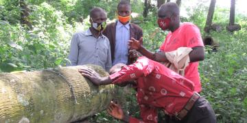 Demonstrating how to improve honey production