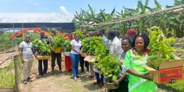 AGROFORESTRY PROJECT FARMERS WITH SEEDLINGS 