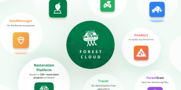 Suite Nuvola della Foresta