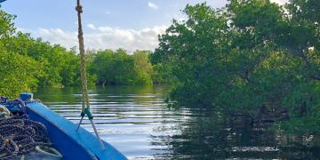 A boat in the mangrove channel of the Inhambane Estuary, Mozambique