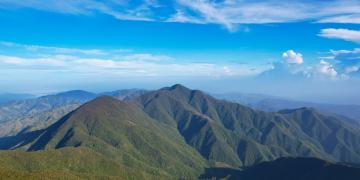 Forests of the Blue and John Crow Mountains National Park