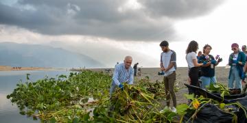 Water hycainth removal event at Samandag Türkiye