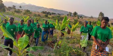 Tadala Farmer Filed Schools members in their commercial enterprise (banana field)