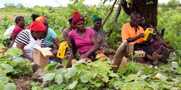 Group of fish farmers sitting under a tree outside, holding yellow transportable radios and listening to a radio session