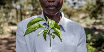 Project beneficiary from The Restoration Initiative (TRI) in Kenya 